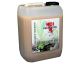 Koi Prevention Active Lacto Bac 5 liter